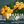 Load image into Gallery viewer, Coffee Stiles - Brazilian Yellow Bourbon