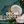 Load image into Gallery viewer, Coffee Stiles - Island Coconut Decaf