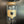 Load image into Gallery viewer, Life Stiles - 16oz Pop Can Glass