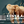 Load image into Gallery viewer, Coffee Stiles - Kenya AA