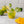 Load image into Gallery viewer, Monin® - Jalapeno Concentrated Flavouring 375ML