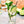 Load image into Gallery viewer, Monin® - Mint Concentrated Flavouring 375ML