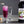 Load image into Gallery viewer, Monin® - Desert Pear Syrup 1L