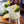 Load image into Gallery viewer, Monin® - Exotic Citrus Syrup 1L