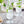 Load image into Gallery viewer, Monin® - Frosted Mint Syrup 1L