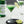 Load image into Gallery viewer, Monin® - Granny Smith Apple Syrup 1L