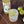 Load image into Gallery viewer, Monin® - Lime Syrup 1L
