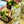 Load image into Gallery viewer, Monin® - Mojito Mix Syrup 1L
