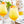 Load image into Gallery viewer, Monin® - Passion Fruit Syrup 1L