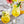Load image into Gallery viewer, Monin® - Pineapple Syrup 1L