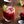 Load image into Gallery viewer, Monin® - Raspberry Fruit Puree 1L