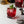 Load image into Gallery viewer, Monin® - Sugar Free Pomegranate Syrup 1L