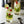 Load image into Gallery viewer, Monin® - Sugar Free Sweetener Syrup 1L