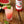 Load image into Gallery viewer, Monin® - Watermelon Syrup 1L