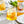 Load image into Gallery viewer, Monin® - White Sangria Mix Syrup 1L