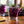 Load image into Gallery viewer, Monin® - Wild Grape Syrup 1L