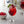Load image into Gallery viewer, Monin® - Wild Raspberry Syrup 1L