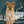 Load image into Gallery viewer, Coffee Stiles - Tanzanian Peaberry
