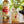 Load image into Gallery viewer, Torani - Puremade White Peach 750ml