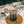 Load image into Gallery viewer, Grosche - Madrid French Press 1.8oz
