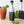 Load image into Gallery viewer, Monin® - Basil Concentrated Flavouring 375ML
