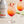 Load image into Gallery viewer, Monin® - Strawberry Rhubarb Fruit Puree 1L
