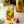 Load image into Gallery viewer, Monin® - Spicy Mango Syrup 1L
