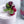 Load image into Gallery viewer, Monin® - Wildberry Fruit Puree 1L
